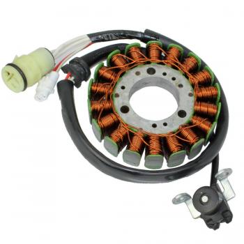 Stator 250 raptor